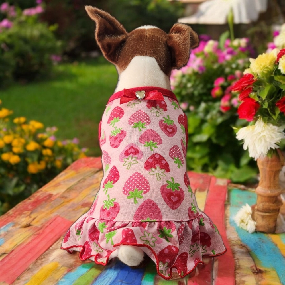 Glamour to the Bone XS Strawberry Doggy Dress - Picture 3 of 7